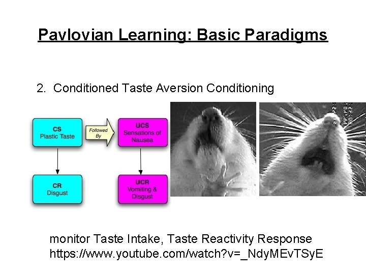 Pavlovian Learning: Basic Paradigms 2. Conditioned Taste Aversion Conditioning monitor Taste Intake, Taste Reactivity