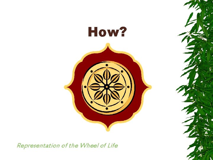 How? Representation of the Wheel of Life 