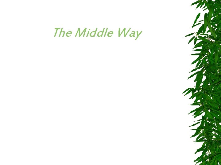 The Middle Way 