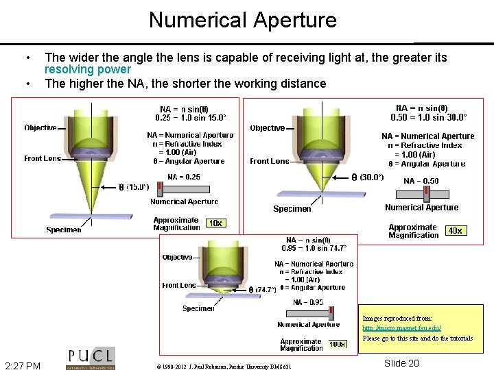 Numerical Aperture • • The wider the angle the lens is capable of receiving