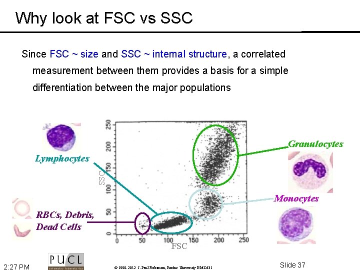 Why look at FSC vs SSC Since FSC ~ size and SSC ~ internal