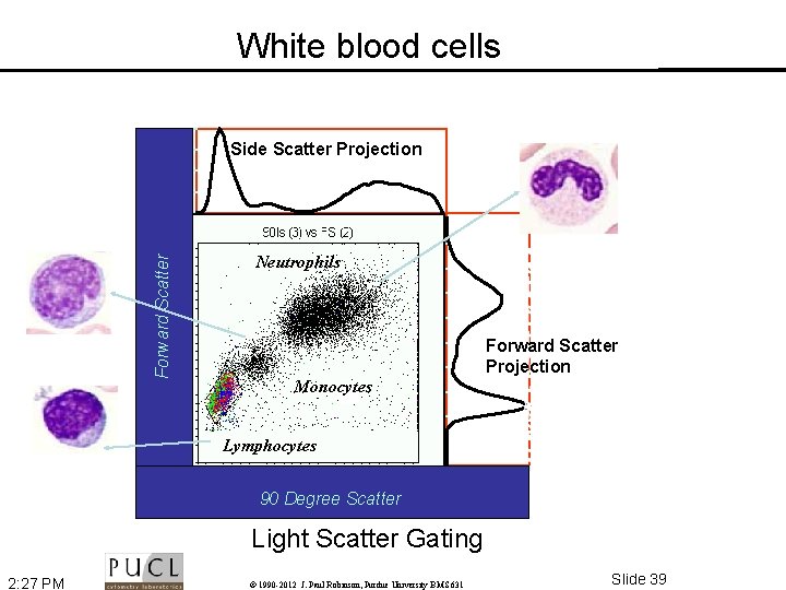 White blood cells Side Scatter Projection Forward Scatter Neutrophils Forward Scatter Projection Monocytes Lymphocytes