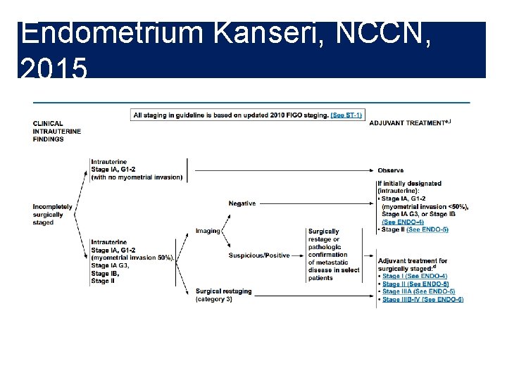 Endometrium Kanseri, NCCN, 2015 