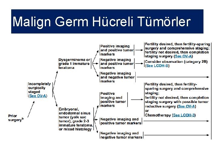 Malign Germ Hücreli Tümörler 