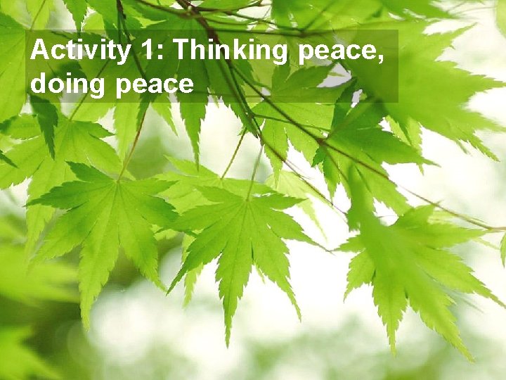 Activity 1: Thinking peace, doing peace 