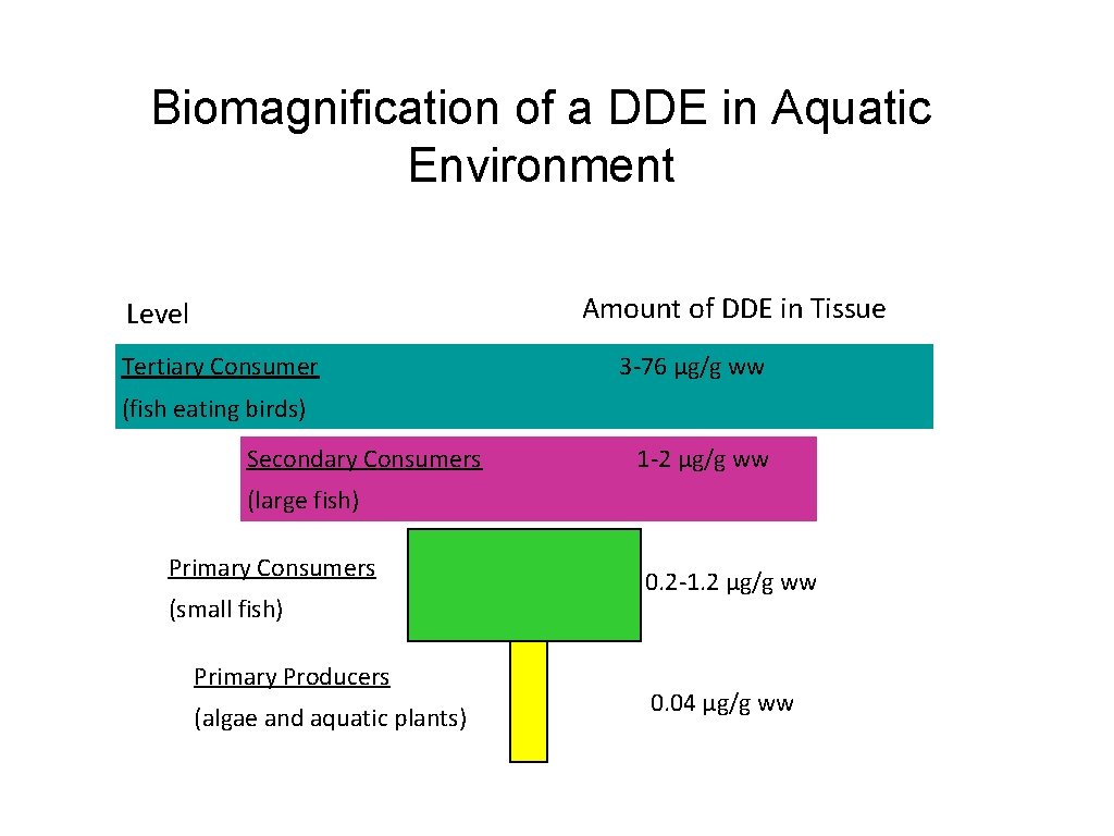 Biomagnification of a DDE in Aquatic Environment Amount of DDE in Tissue Level Tertiary