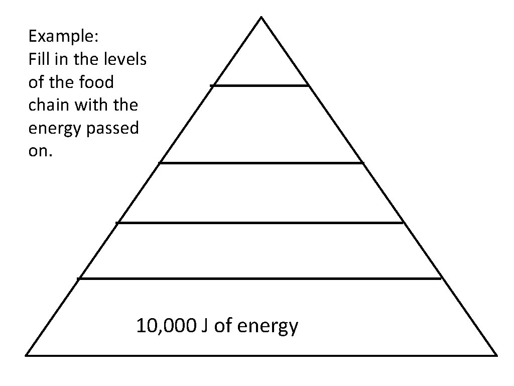 Example: Fill in the levels of the food chain with the energy passed on.