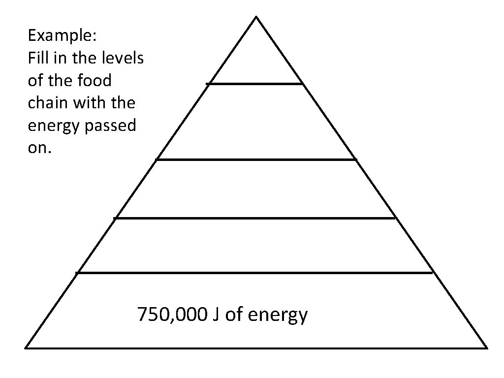 Example: Fill in the levels of the food chain with the energy passed on.