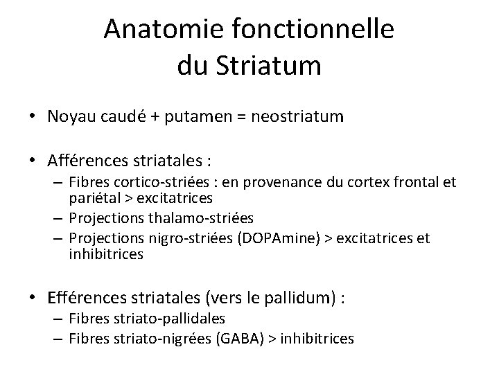 Anatomie fonctionnelle du Striatum • Noyau caudé + putamen = neostriatum • Afférences striatales
