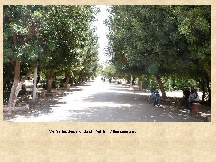 Vallée des Jardins : Jardin Public – Allée centrale. 