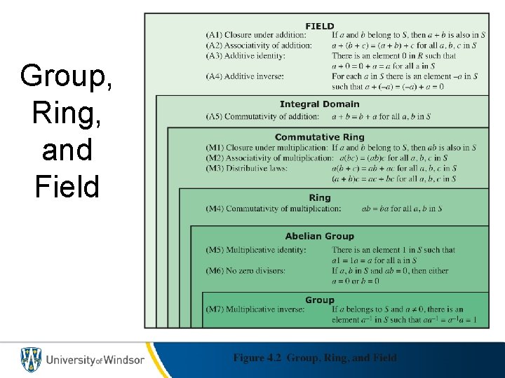 Group, Ring, and Field 