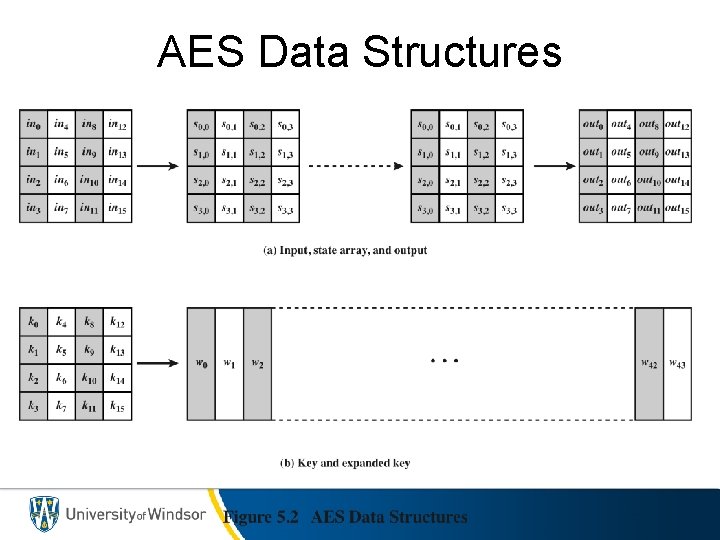 AES Data Structures 
