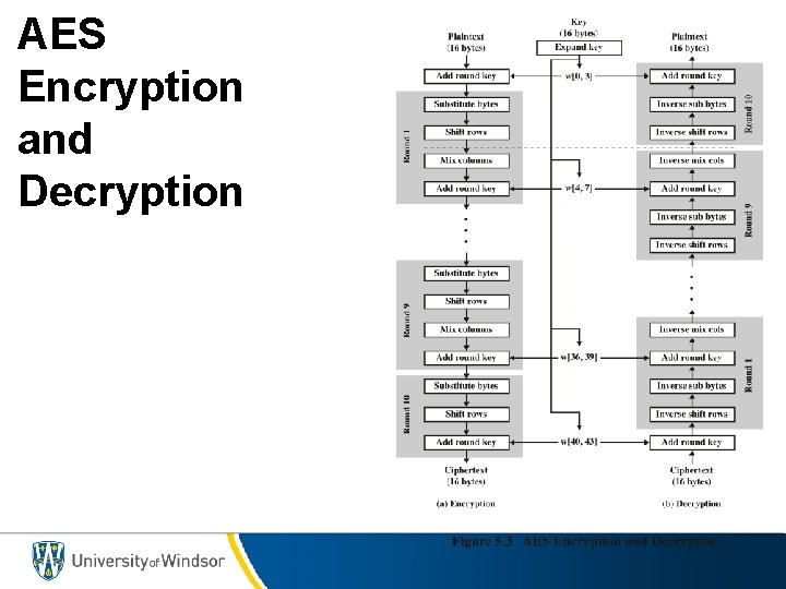 AES Encryption and Decryption 