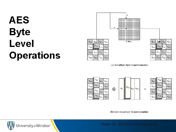 AES Byte Level Operations 