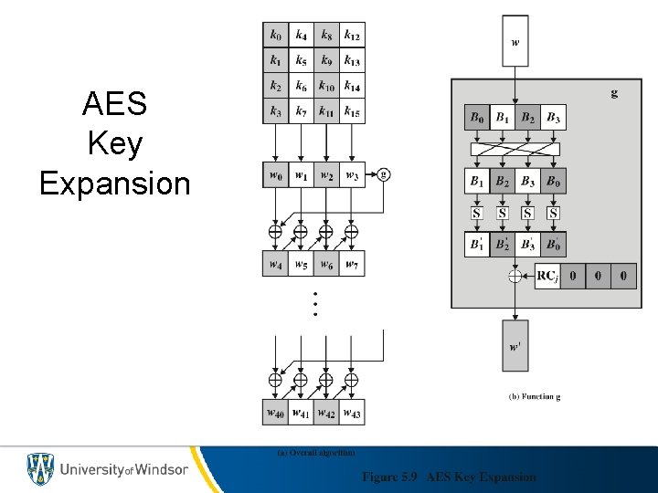 AES Key Expansion 