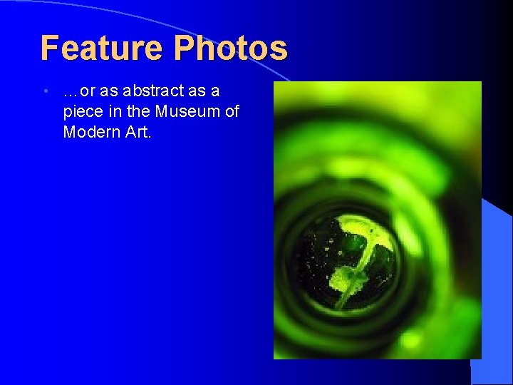 Feature Photos • …or as abstract as a piece in the Museum of Modern