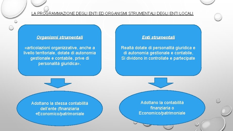 LA PROGRAMMAZIONE DEGLI ENTI ED ORGANISMI STRUMENTALI DEGLI ENTI LOCALI Organismi strumentali Enti strumentali