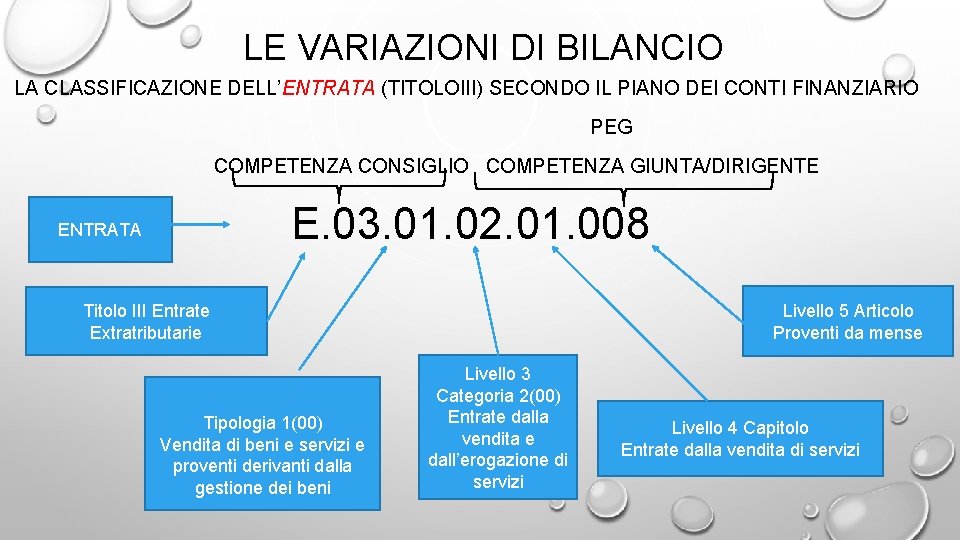 LE VARIAZIONI DI BILANCIO LA CLASSIFICAZIONE DELL’ENTRATA (TITOLOIII) SECONDO IL PIANO DEI CONTI FINANZIARIO