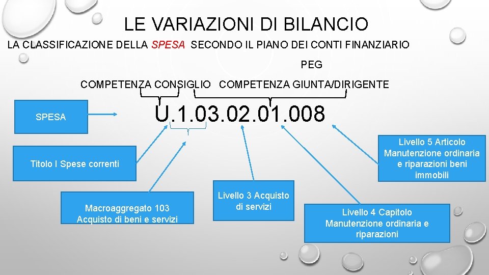 LE VARIAZIONI DI BILANCIO LA CLASSIFICAZIONE DELLA SPESA SECONDO IL PIANO DEI CONTI FINANZIARIO