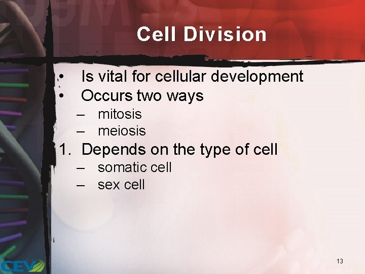 Cell Division • • Is vital for cellular development Occurs two ways – mitosis