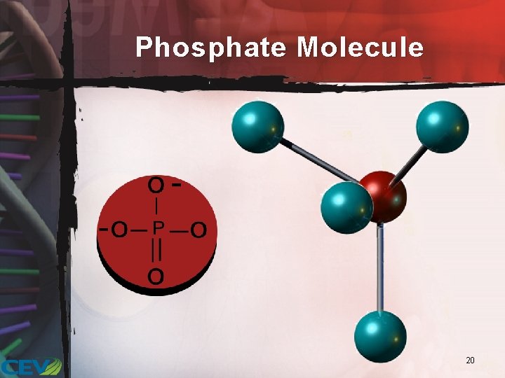 Phosphate Molecule 20 