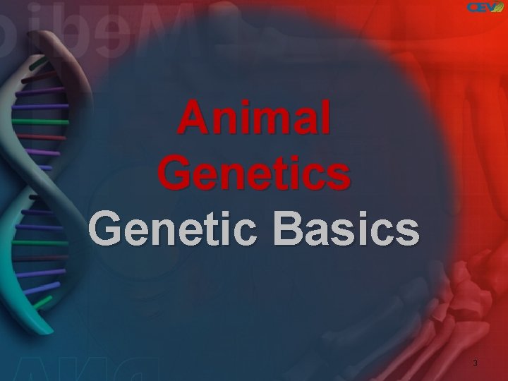 Animal Genetics Genetic Basics 3 