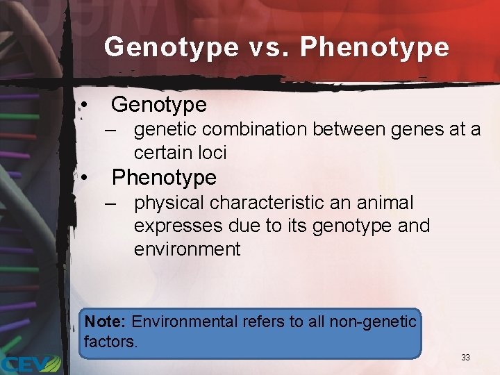 Genotype vs. Phenotype • Genotype – genetic combination between genes at a certain loci