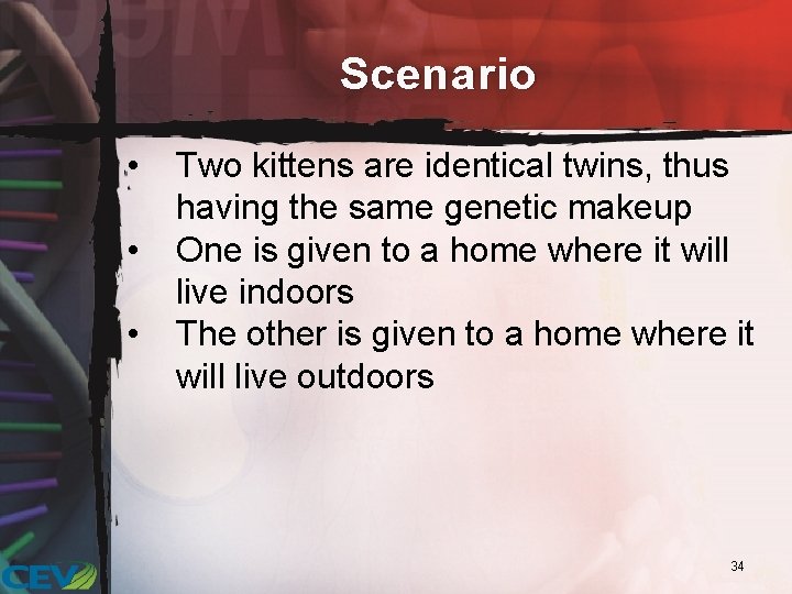 Scenario • • • Two kittens are identical twins, thus having the same genetic