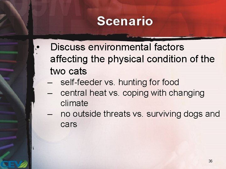 Scenario • Discuss environmental factors affecting the physical condition of the two cats –