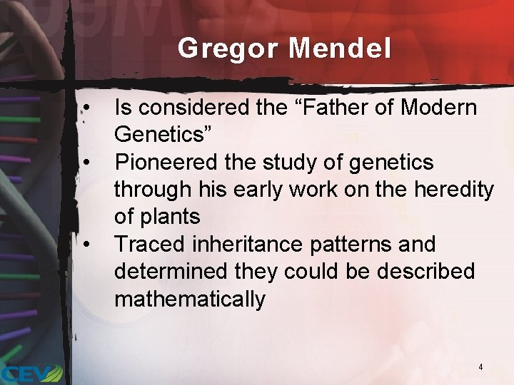 Gregor Mendel • • • Is considered the “Father of Modern Genetics” Pioneered the