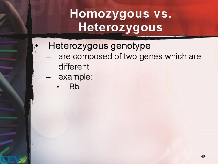 Homozygous vs. Heterozygous • Heterozygous genotype – are composed of two genes which are