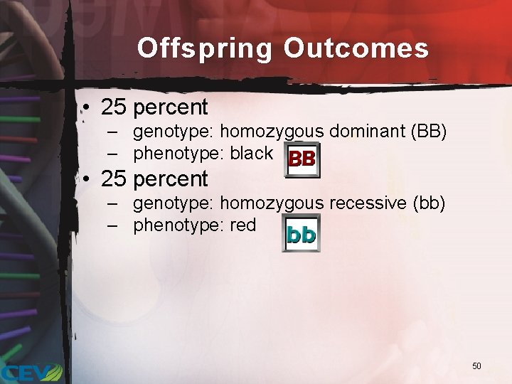 Offspring Outcomes • 25 percent – genotype: homozygous dominant (BB) – phenotype: black •