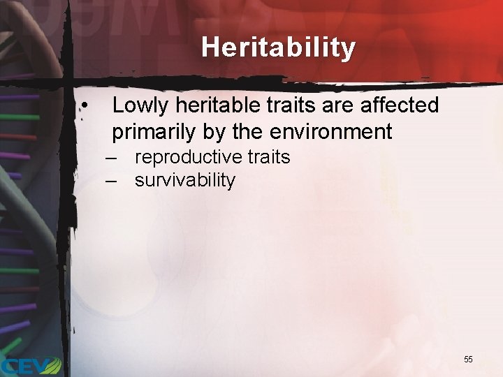 Heritability • Lowly heritable traits are affected primarily by the environment – reproductive traits