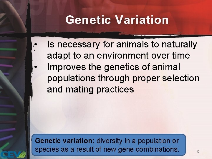 Genetic Variation • • Is necessary for animals to naturally adapt to an environment