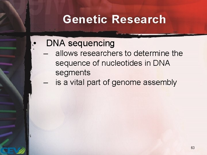 Genetic Research • DNA sequencing – allows researchers to determine the sequence of nucleotides