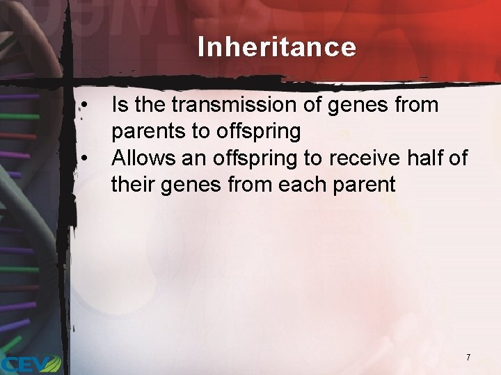 Inheritance • • Is the transmission of genes from parents to offspring Allows an