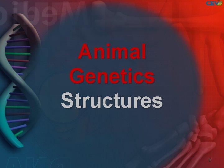 Animal Genetics Structures 8 