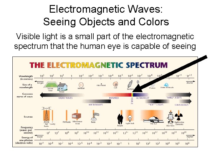 Electromagnetic Waves: Seeing Objects and Colors Visible light is a small part of the