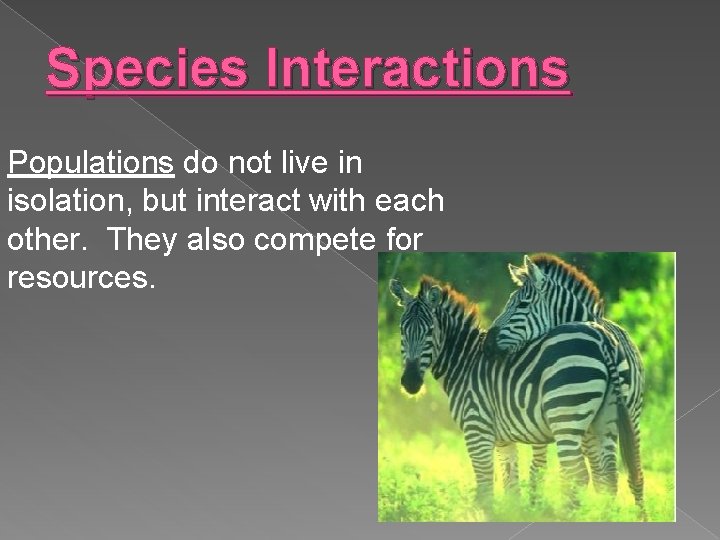 Species Interactions Populations do not live in isolation, but interact with each other. They
