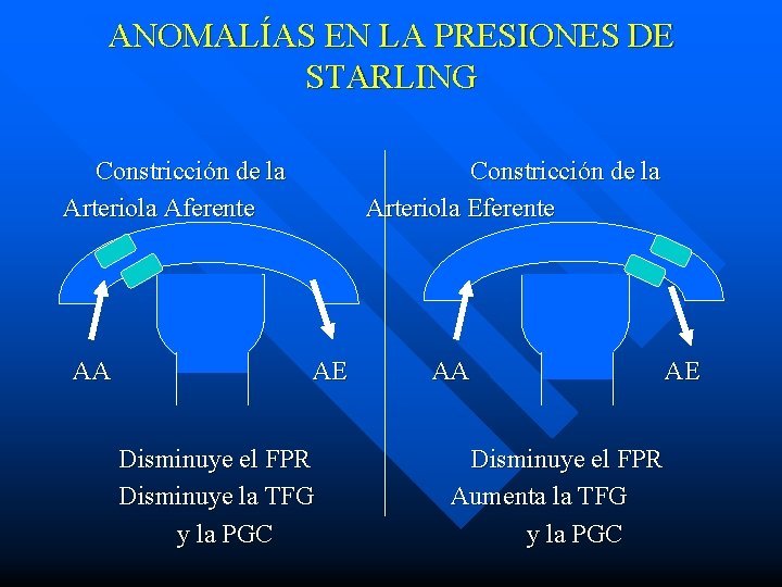 ANOMALÍAS EN LA PRESIONES DE STARLING Constricción de la Arteriola Aferente AA Constricción de