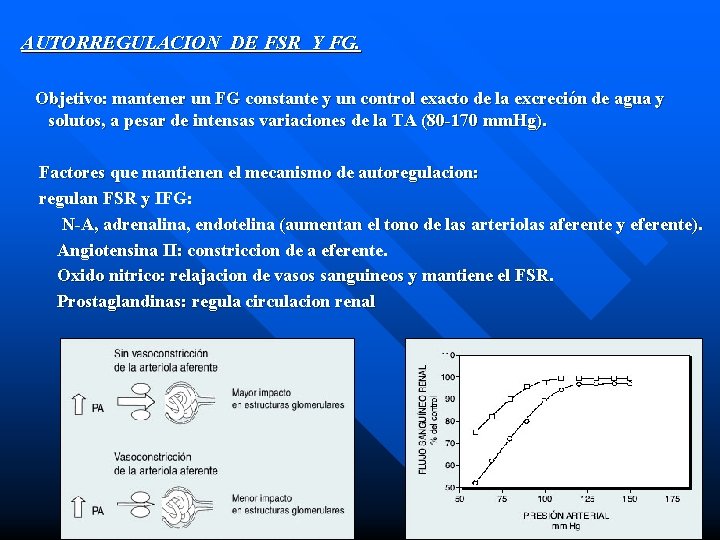 AUTORREGULACION DE FSR Y FG. Objetivo: mantener un FG constante y un control exacto