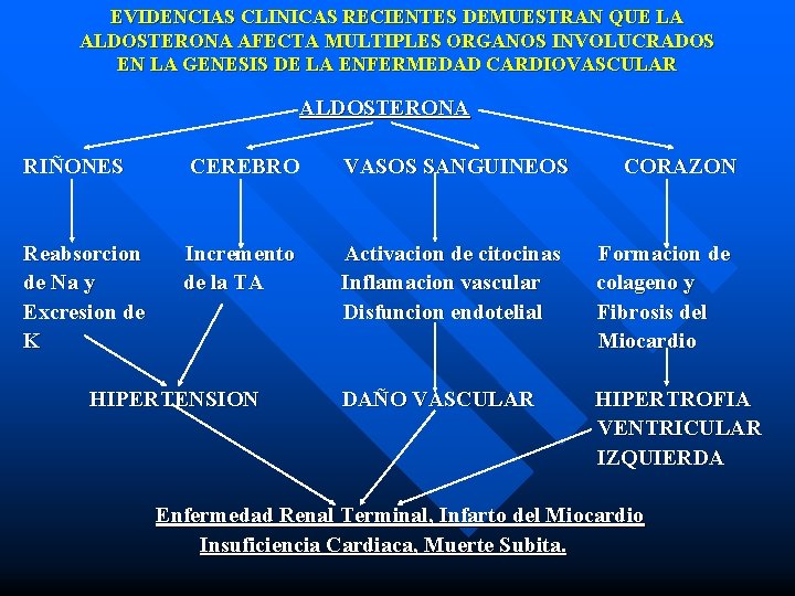 EVIDENCIAS CLINICAS RECIENTES DEMUESTRAN QUE LA ALDOSTERONA AFECTA MULTIPLES ORGANOS INVOLUCRADOS EN LA GENESIS