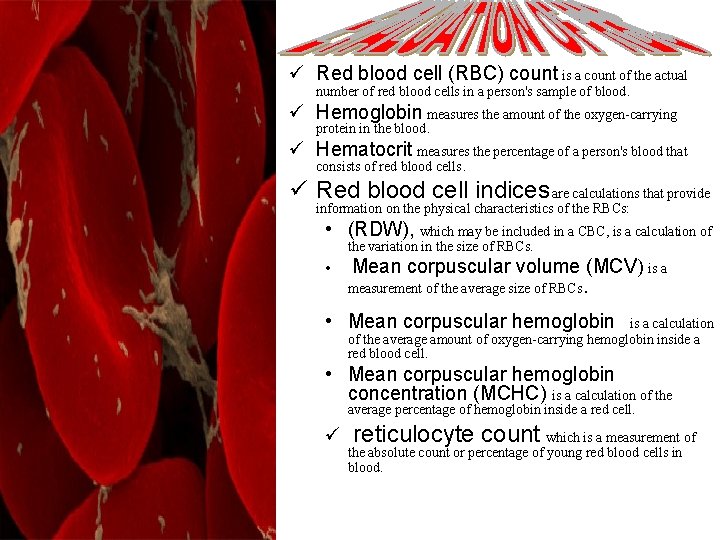 ü Red blood cell (RBC) count is a count of the actual number of