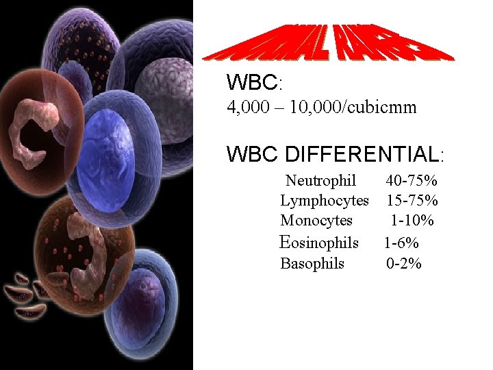 WBC: 4, 000 – 10, 000/cubicmm WBC DIFFERENTIAL: Neutrophil 40 -75% Lymphocytes 15 -75%