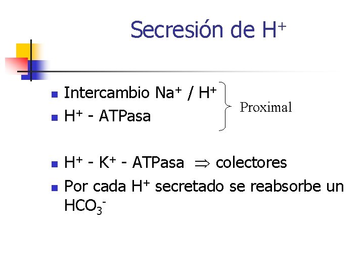 Secresión de H+ n n Intercambio Na+ / H+ H+ - ATPasa Proximal H+