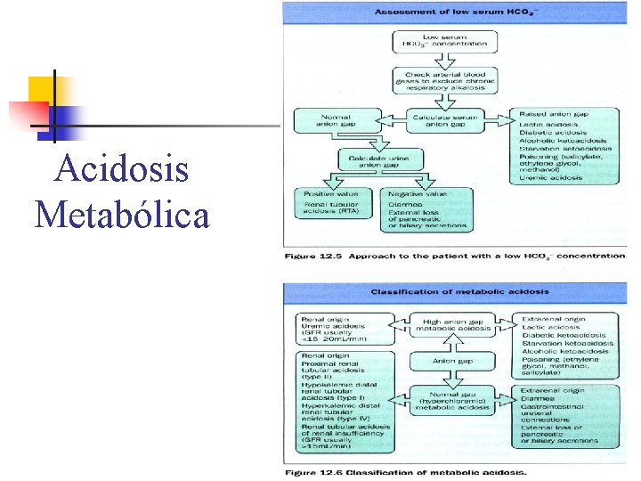 Acidosis Metabólica 