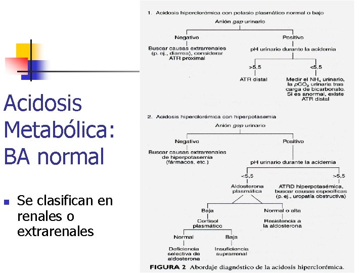 Acidosis Metabólica: BA normal n Se clasifican en renales o extrarenales 