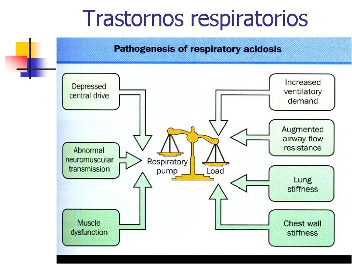 Trastornos respiratorios 