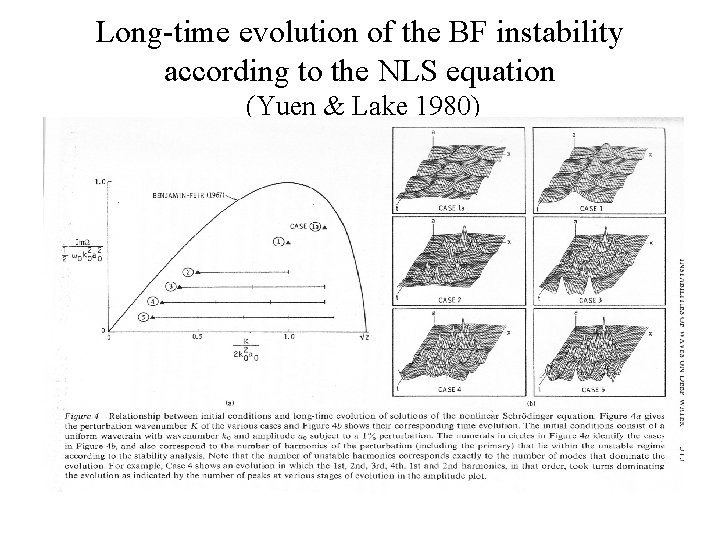 Long-time evolution of the BF instability according to the NLS equation (Yuen & Lake