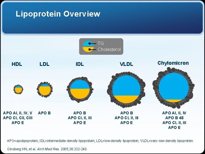Lipoprotein Overview TG Cholesterol HDL LDL IDL VLDL APO AI, IV, V APO CI,